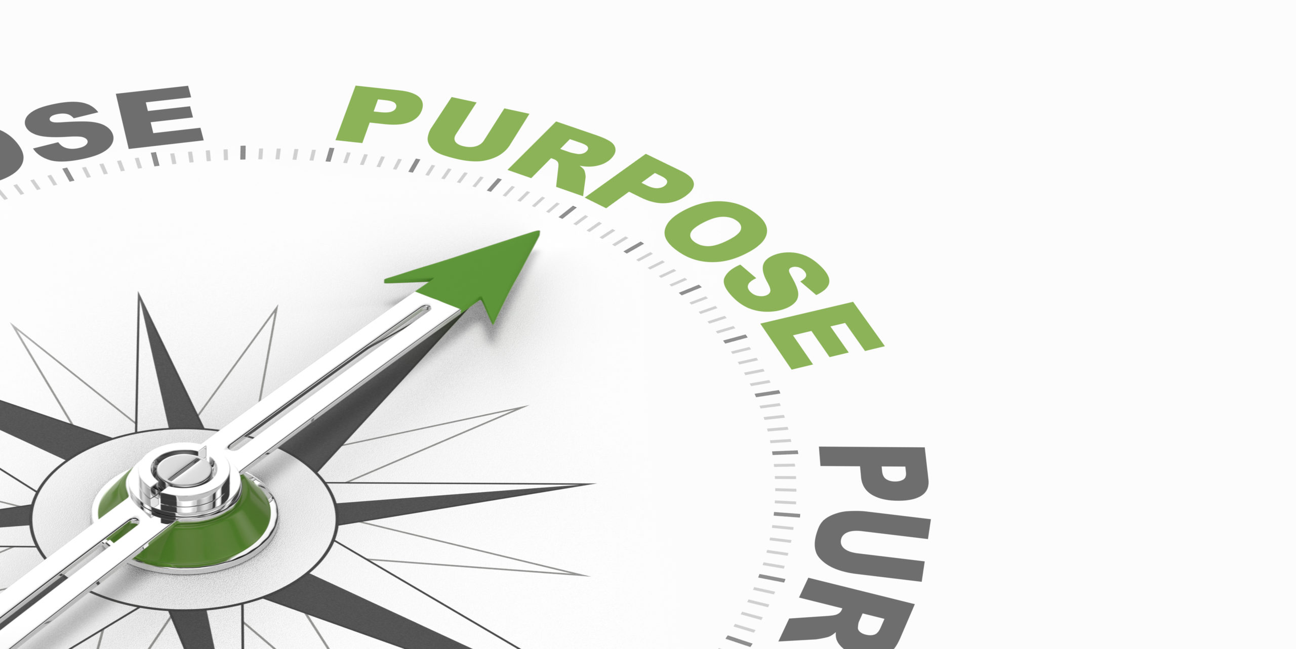 48 - Purpose Driven Weight Loss and Wellness